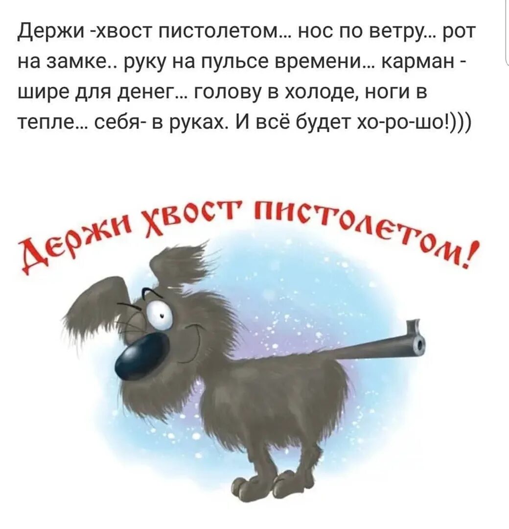 Держись держусь я тоже не вывожу. Держать хвост пистолетом. Нос пистолетом хвост. Держать нос по ветру а хвост пистолетом. Держи хвост пистолетом картинки.