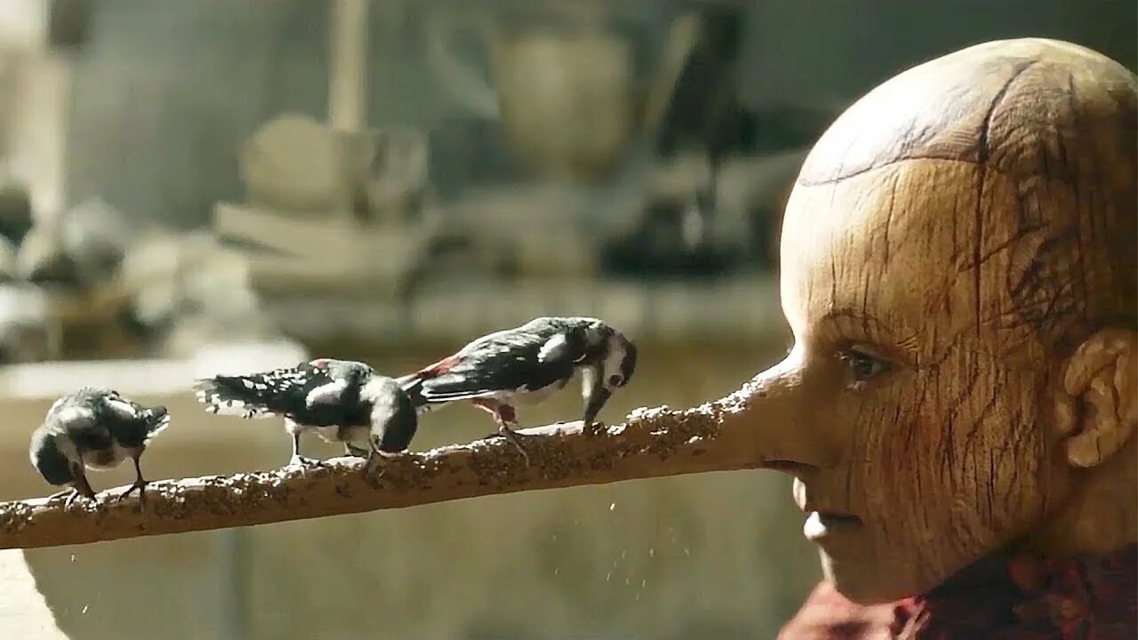 Пеликан фильм 2011. Славные пташки мультфильм. Славные пташки фильм 2018. Мальчик и птица трейлер на русском языке. Трио в перьях /richard the stork/ мультфильм в hd.