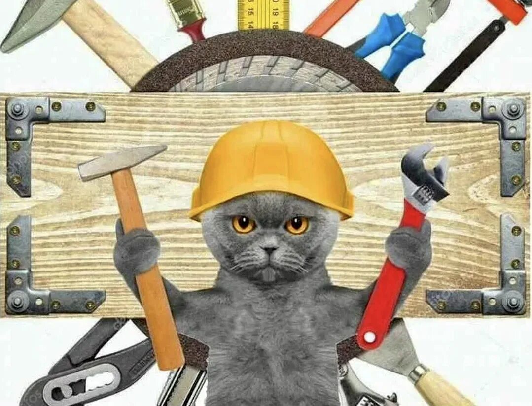 Мастер плотник на все руки. Кот строитель. мастер на все руки. коты строители. кот ремонтник.