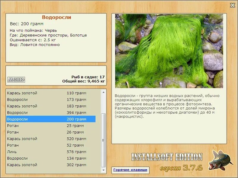 масса водорослей