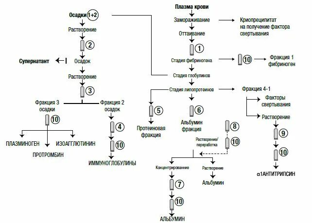 Метод кона. Фракционирование плазмы крови по кону. Фракционирование белков плазмы крови. Технологическая схема производства альбумина. Методы фракционирования белков плазмы крови.