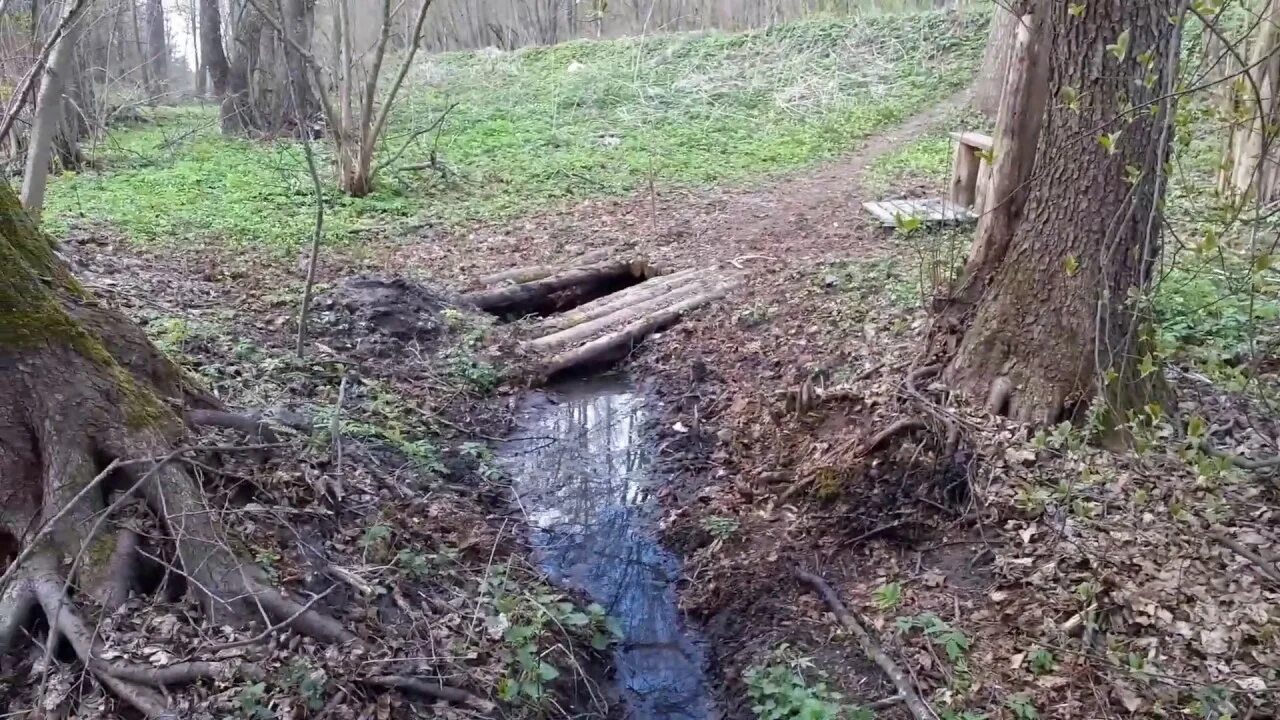 Трасса родники. Жеча Брянская область. Алёновка Брянская область. Унеча Брянская Родник. Родник Гомель.