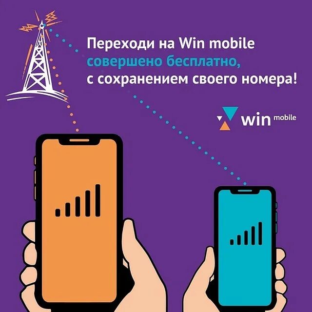 Как перейти на волну с сохранением номера. Симка win mobile. Оператор вин мобайл. Код оператора win mobile. Переход на МТС С сохранением номера.