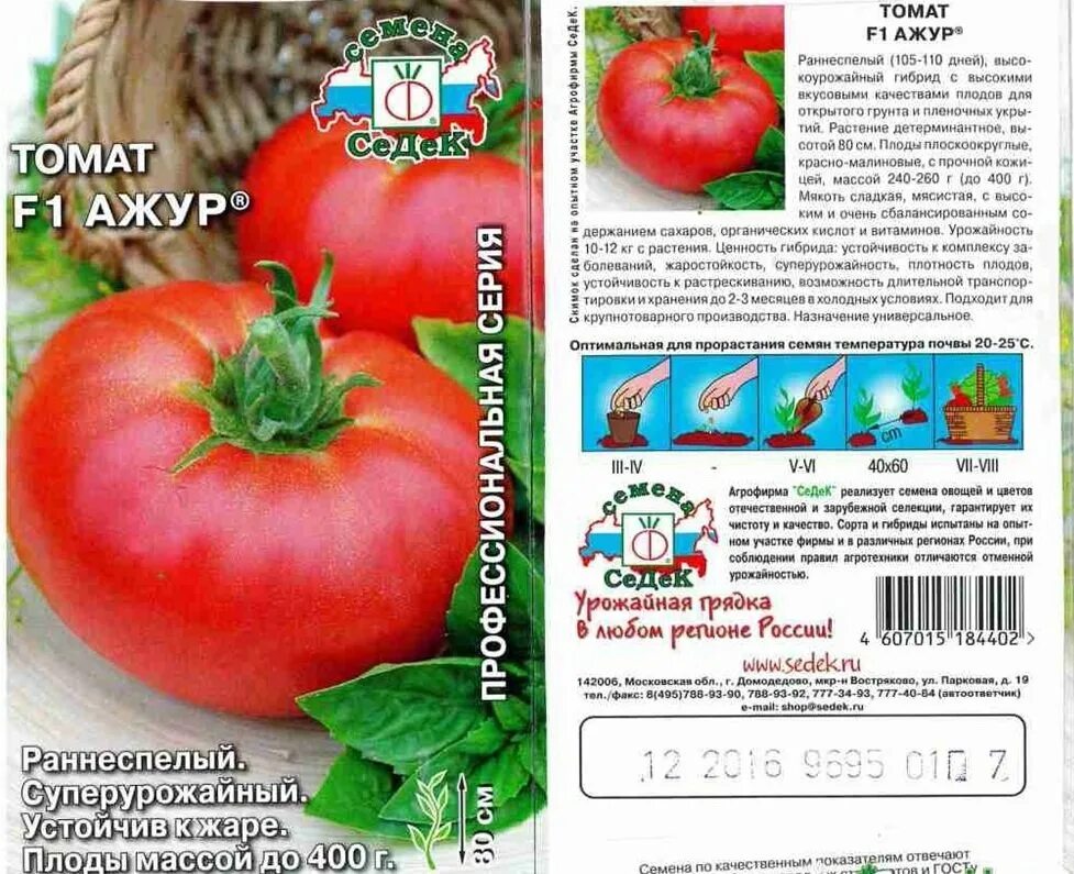 Томат ажур отзывы фото урожайность характеристика