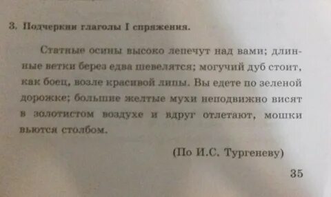 Статные осины высоко лепечут
