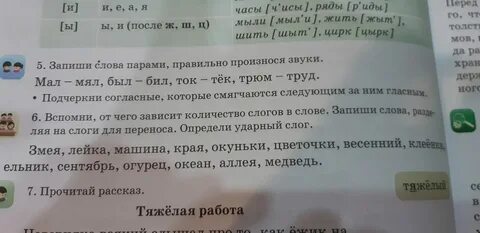 Сколько букв и звуков в слове ельник