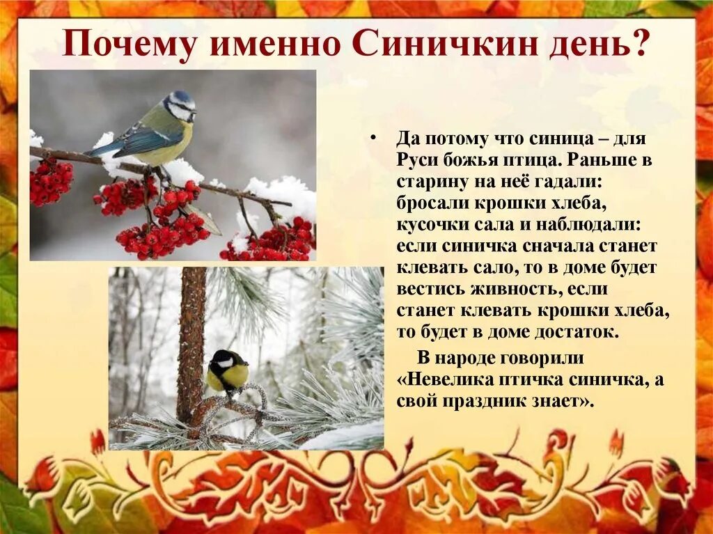 Интересные факты о синичках. Презентация день синички для дошкольников. Факты о синицах. Факты о синицах. Синичкин день в доу.