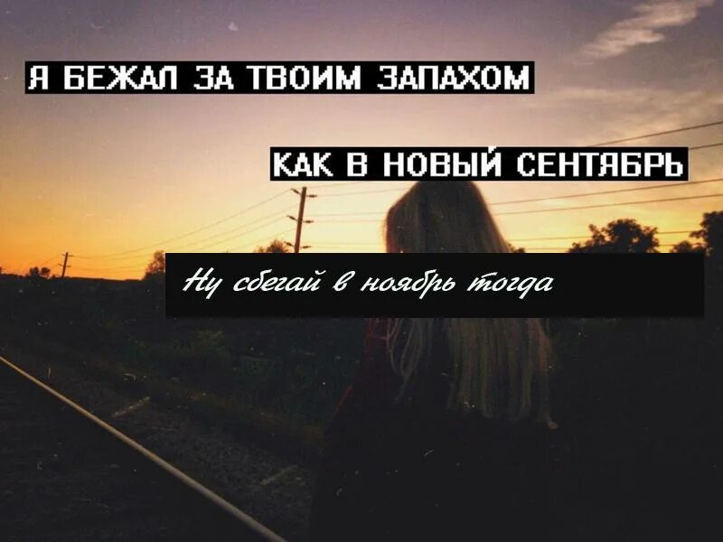 Я вижу твой запах. Твой запах цитаты. Хочу почувствовать твой запах. Пахну тобой цитаты. Я люблю твой запах.