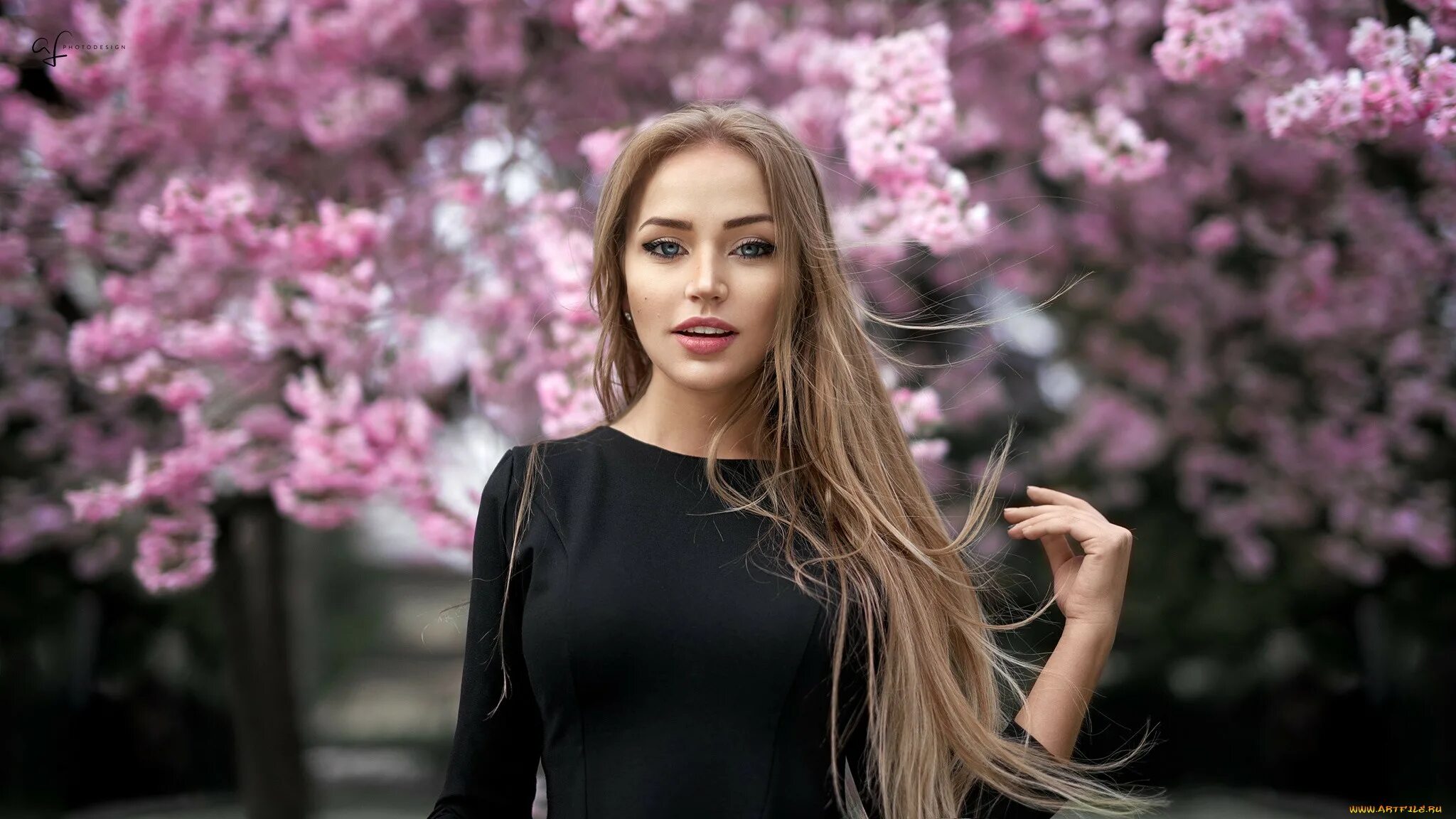 Данные модели девушки