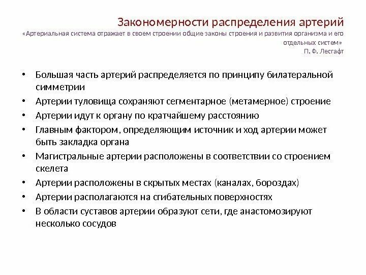 Общие закономерности строение и расположения кровеносных сосудов Полномочия собственника