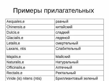 Сосед какой прилагательные