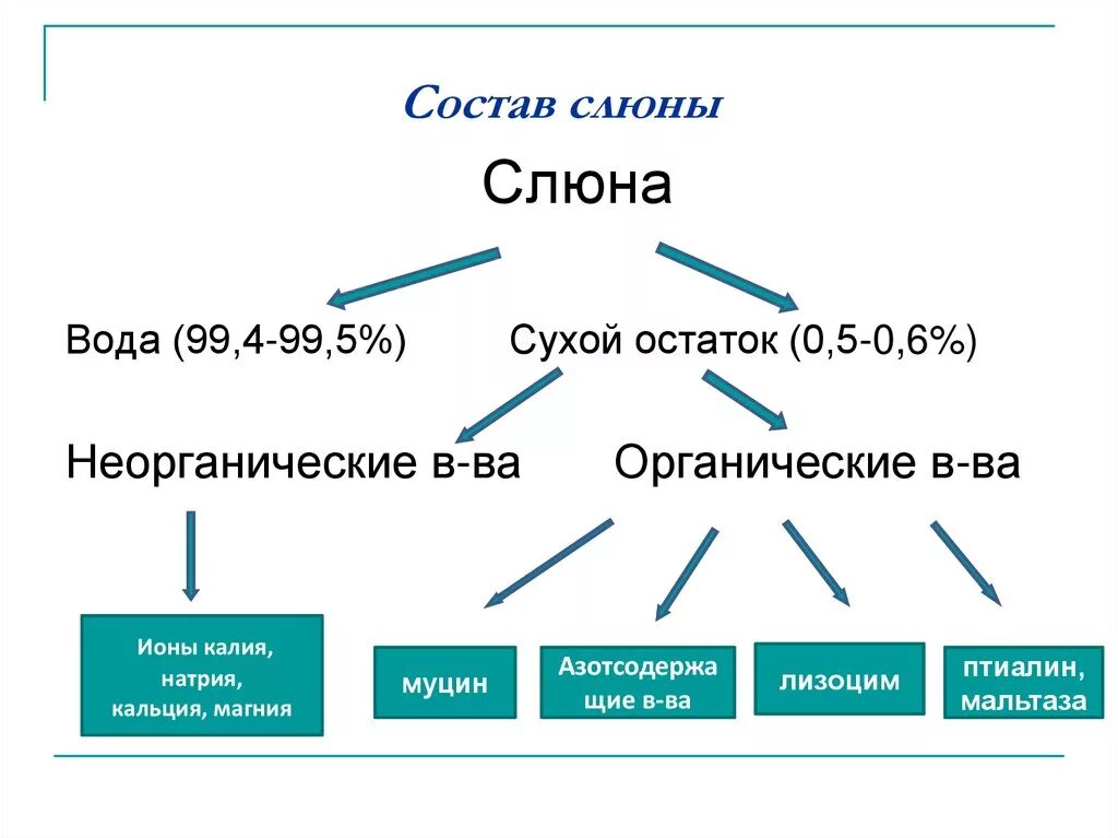 Какие вещества расщепляются слюной. Составьте схему Составь склюны. Состав слюны схема. Состав слюны человека биология 8. Из чего состоит слюна состав слюны.