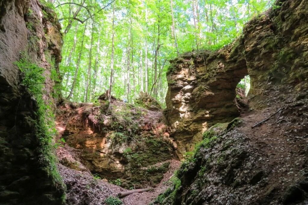 Ичалки нижегородская область пещеры. Ичалковский бор пещеры. Ичалки нижегородская область пещеры. Ичалковский бор пещеры. Ичалковский бор пещеры.