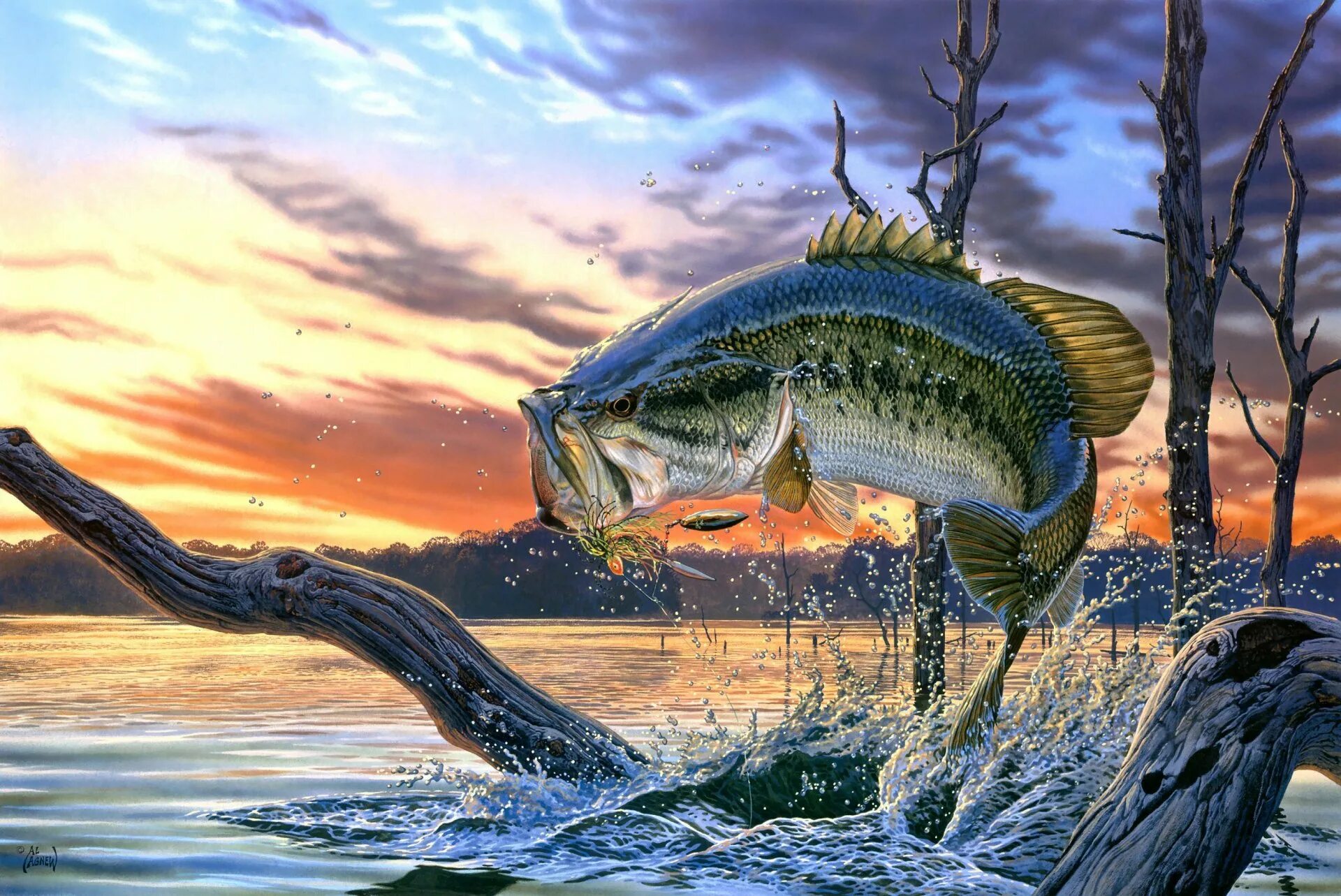 Пищевое отношение между щукой и речным окунем. Ал Агнев картины с рыбами. Al Agnew художник. Al Agnew картины. Картины на тему рыбалка.