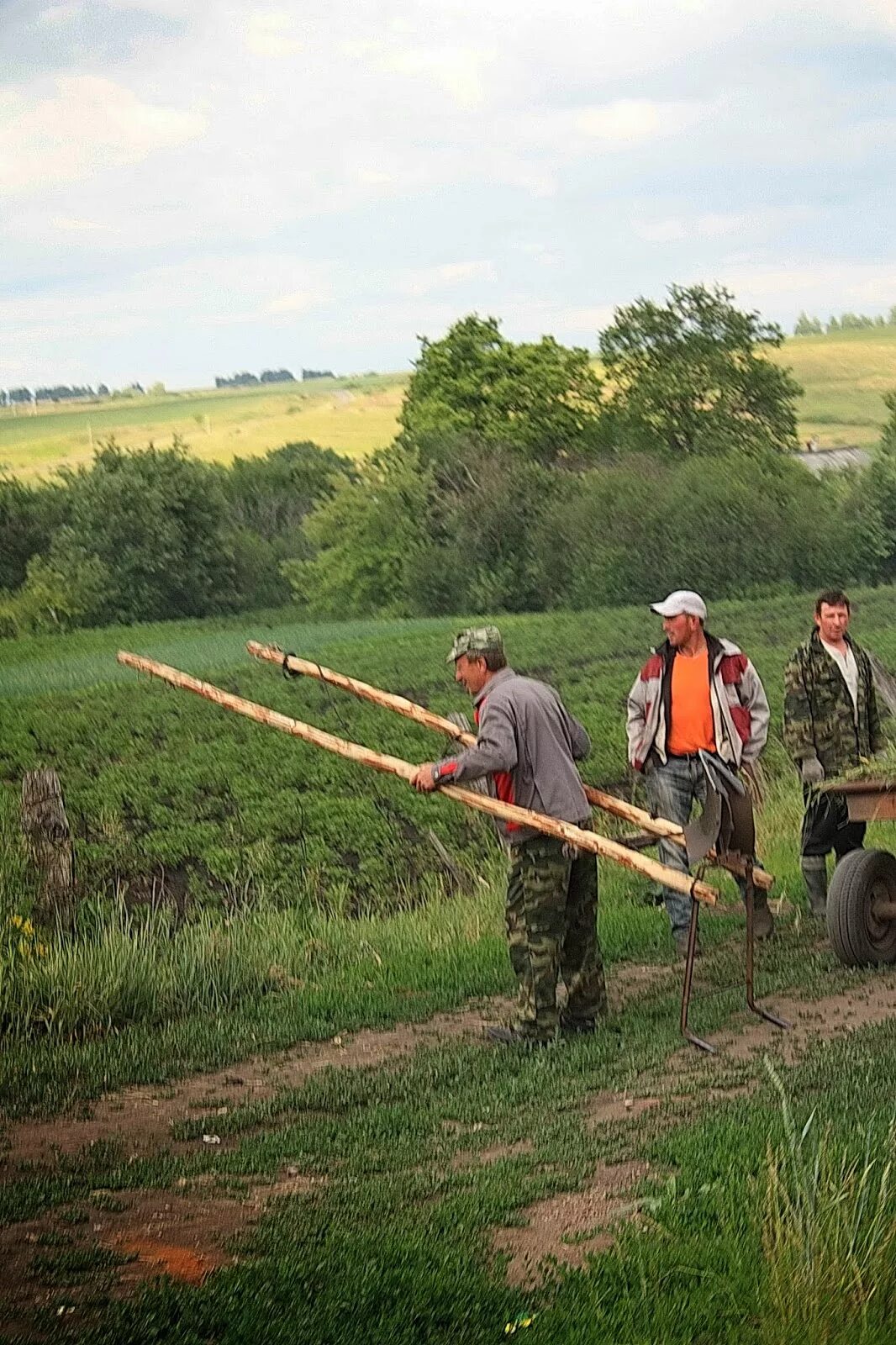 Ардатовский район село Кечушево. Кечушево Ардатовский район Мордовия. Кельвядни Ардатовский район Мордовия. Село Каласево Ардатовский район Мордовия.