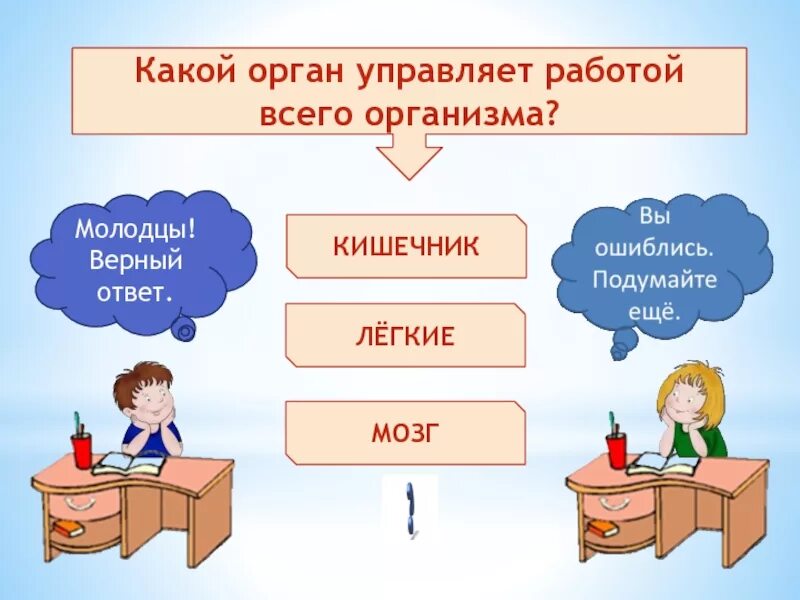 Какой орган является. Что не является органом чувств. Какая наука изучает строение человека. Органы выполняемая работа. Какой орган управляет работой всего организма человека.