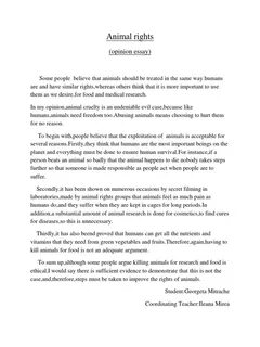 Animals essay
