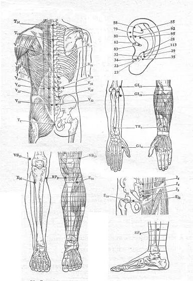 Тело движется прямолинейно по закону. 4 на числовой окружности. Построить точку а -3 2 4. 4. Нейролимфатические точки атлас.