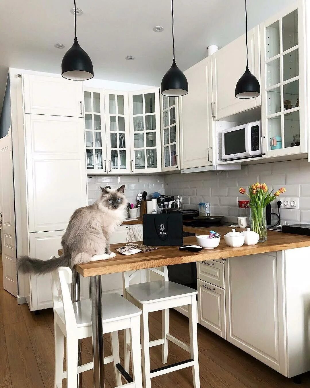 Cats kitchen. Котик на кухне. Кошка на кухне. Место для кота на кухне. Кошачья кухня.