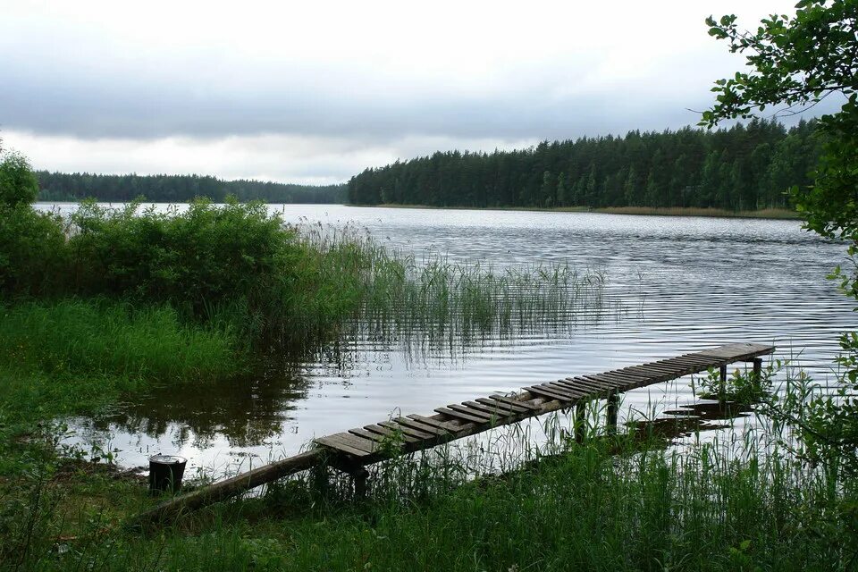 Индекс озер московской. Озеро удбище Торопецкий район. Тверская область Торопецкий район озеро Утбище. Озеро Яссы Торопецкий район. Деревня Бридино Торопецкий район.