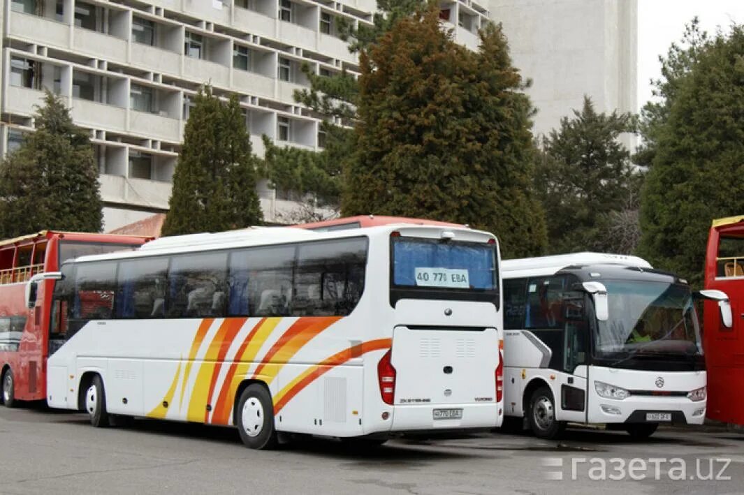 Автобус Ташкент. Ташкент Алматы автобус. Сопровождение автобусов Ташкент. Автобус Ташкент Алматы номер. Междугородные автобусы саларьево