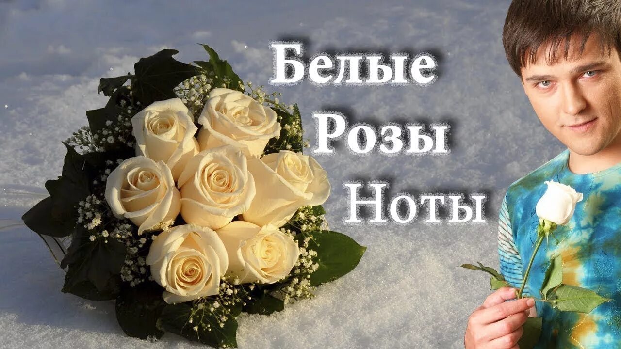 Белые розы желтые тюльпаны сибирские шатунова. Белые розы белые розы Шатунов. Белые розы Юра.