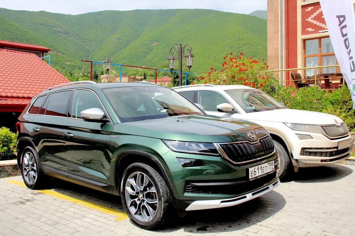 Skoda Kodiak 2020. Шкода Kodiaq 2020. Skoda Kodiaq 2020 зеленый. Шкода Кодиак 2022 зеленый. Куплю шкода кодиак б у