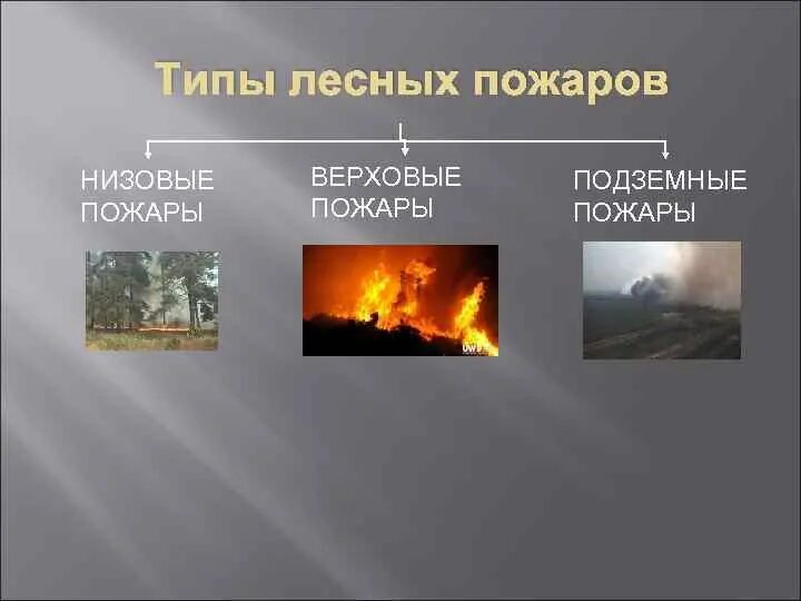 Верховой пожар сдо ржд. Низовые и верховые пожары. Виды пожаров подземные и. Низовой пожар схема. Лесные пожары низовые и верховые пожары.