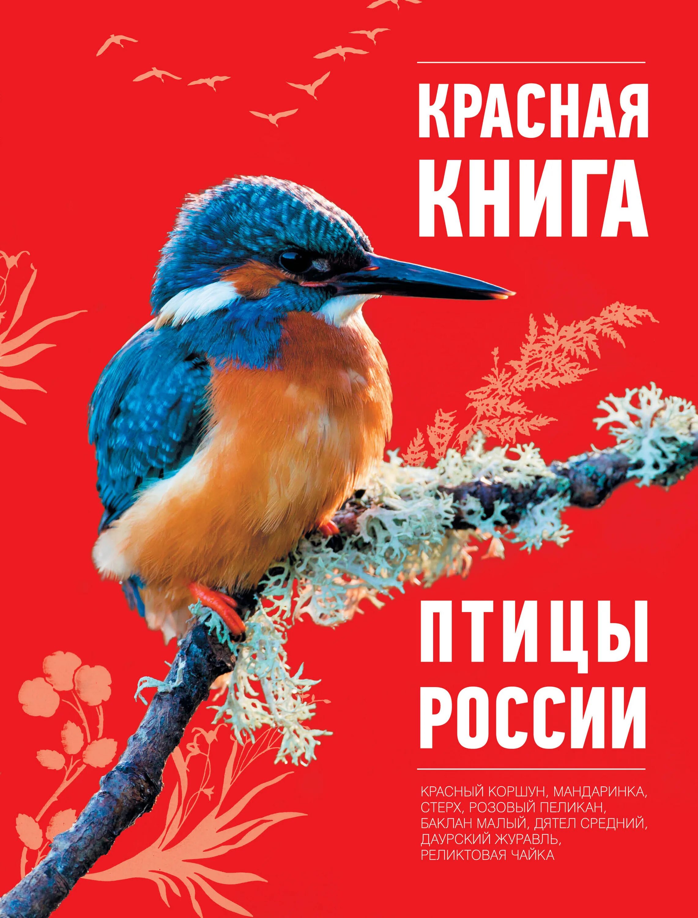 Т красная книга. Птицы красной книги. Птицы красной книги России.