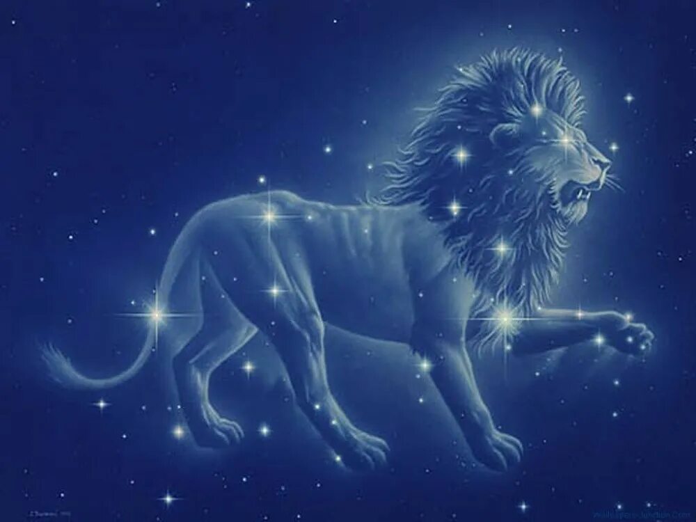 Нисходящий лев. Созвездие Льва. Лев Зодиак. Зодиакальное Созвездие Лев. Знак зодиака Лев Созвездие.