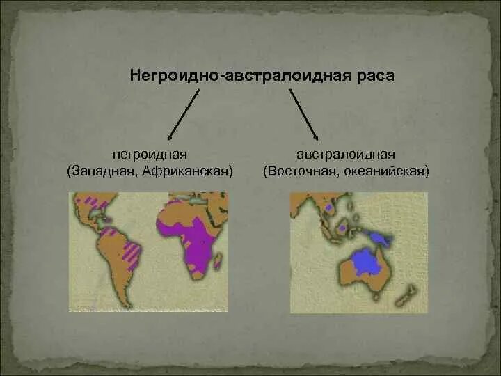 Ареалы распространения человеческих рас. Негроидная раса распространение. Размещение австралоидной расы. Место обитания негроидной расы. Австралоидная раса карта распространения.