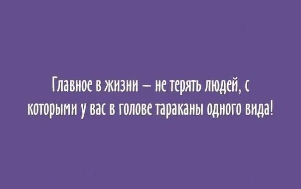 Нашел главную потерю своей жизни. Главное в жизни найди человека с такими же тараканами. главное найти человека с такими же тараканами.