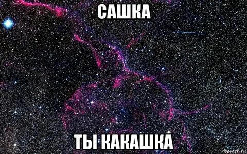 Сашок картинки