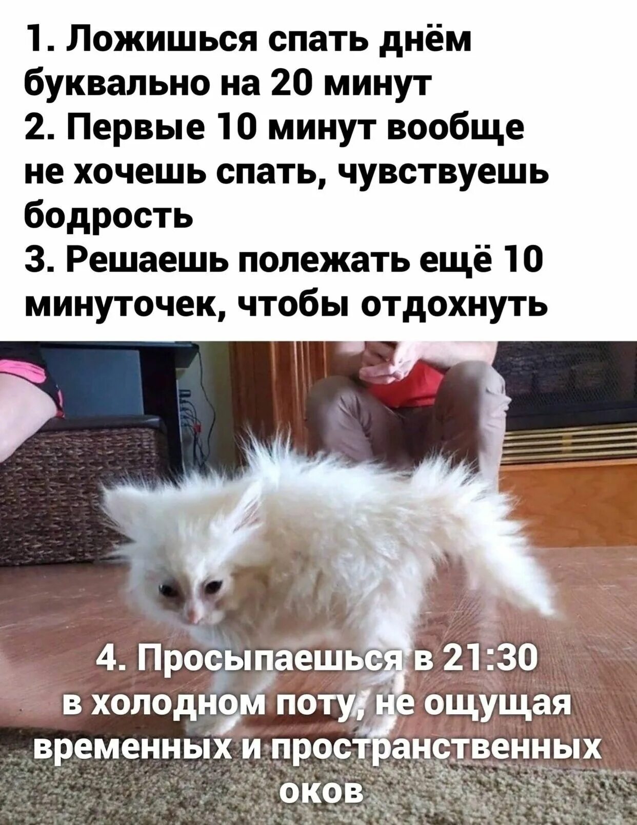 Рано ложиться спать. Поспала днем мем. Ночью нвдоспвть. Когда поспал днём прикол. Ночью нвдоспвть.