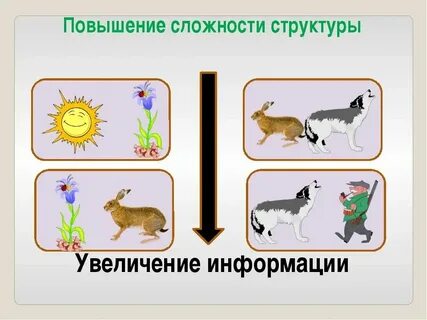 Как связана живая и неживая природа осенью