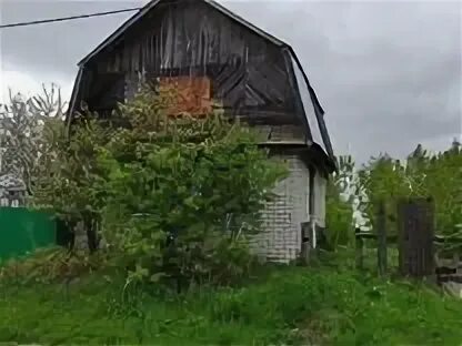 Авито марий эл красногорский недвижимость. Кушнур нижегородская область. Кушнур деревня целитель. Авито марий эл красногорский недвижимость. Авито марий эл пгт красногорский недвижимость.