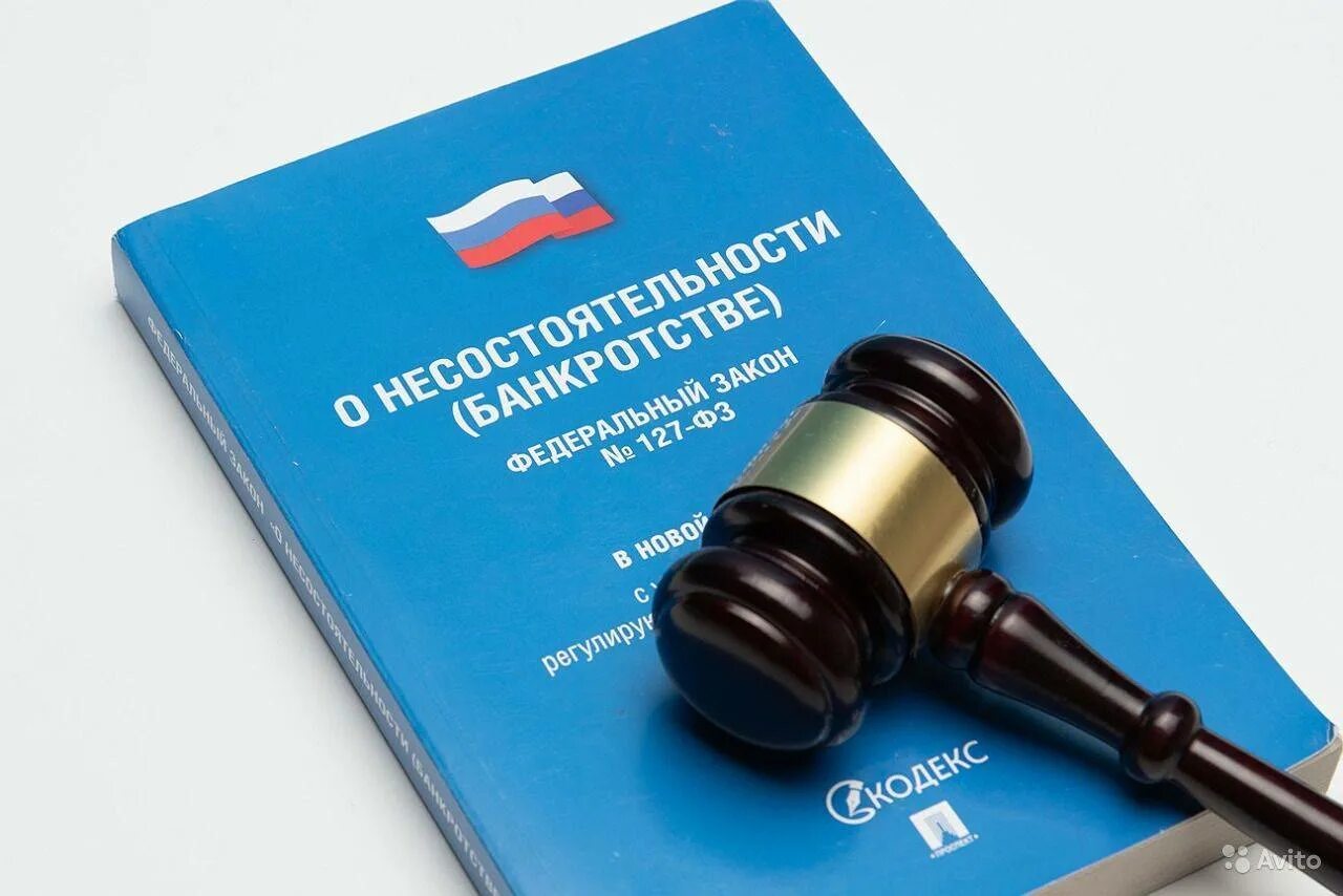 2002 г в ред от. Закон о банкротстве. ФЗ О банкротстве. Закон 127-ФЗ. Закон о несостоятельности.