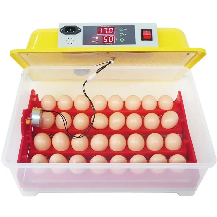 Инкубатор для яиц производитель. Инкубаторе WQ 32. Инкубатор NBF-1500. Инкубатор на 30 яиц. Инкубатор автоматический WQ-24.