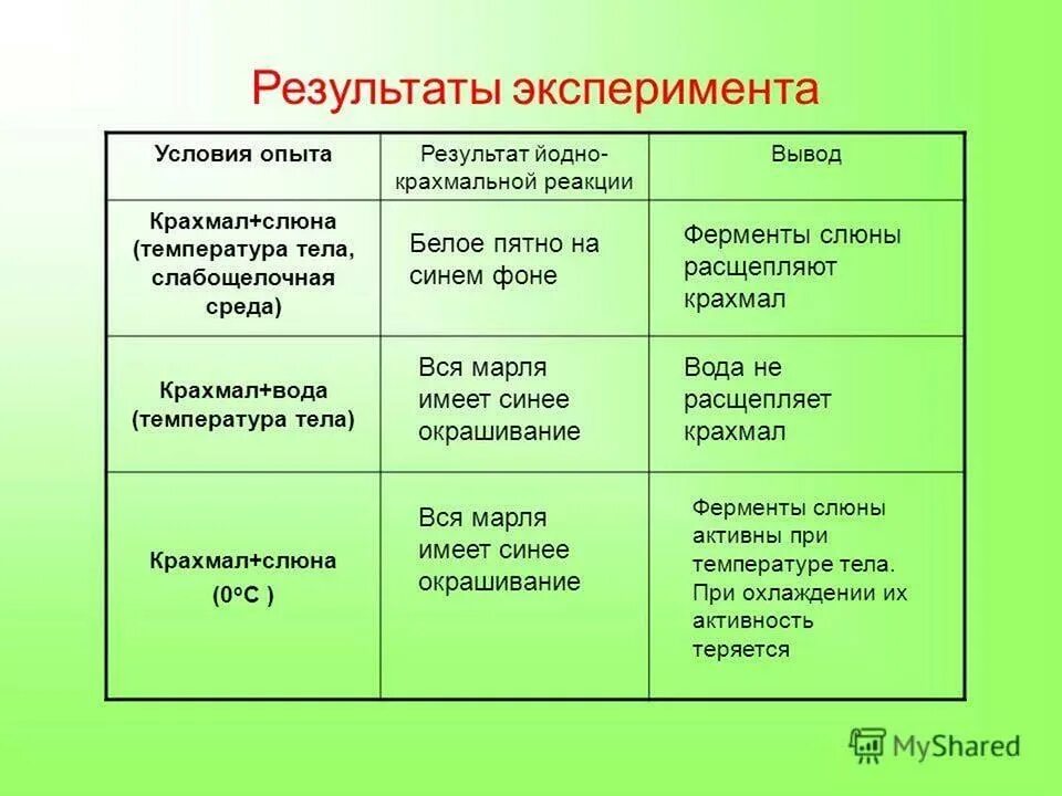 Исследование слюны на крахмал