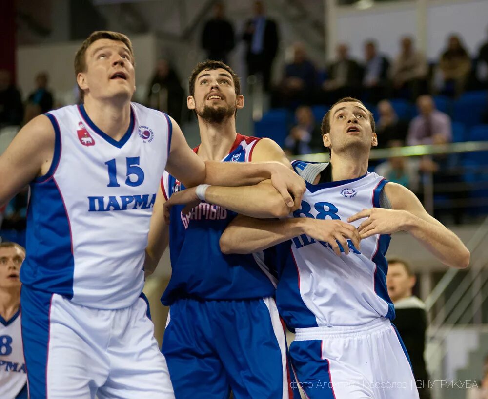 парма пермь баскетбол. парма пари баскетбол. парма пермь состав. парма пермь состав. баскетбольная команда парма пермь.