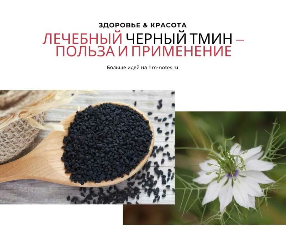 Тмин микроэлементы. Чёрный тмин лечебные. черный тмин картинки. черный тмин полезные свойства. чёрный тмин лечебные свойства.