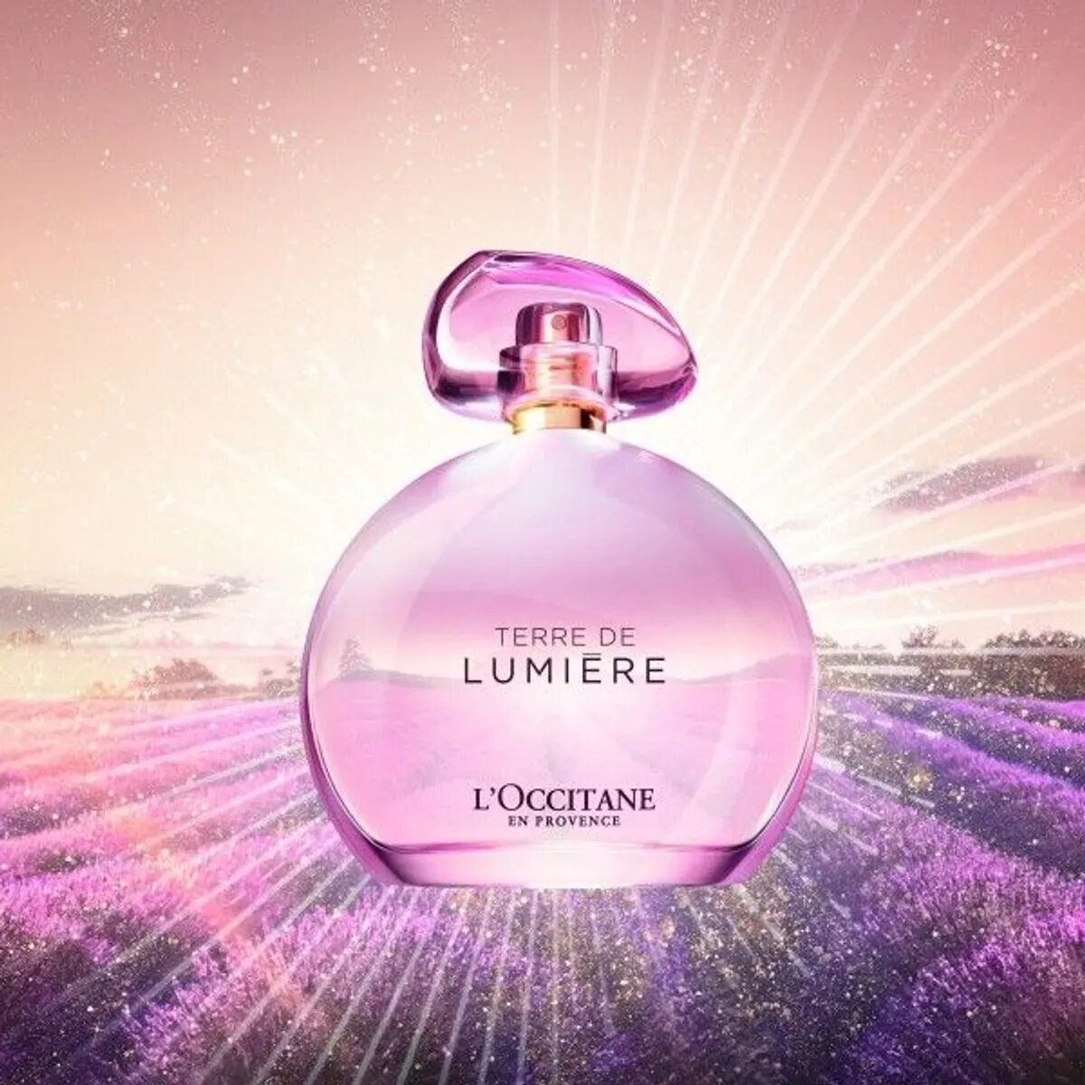 Discover l. Духи loccitane en Provence "Terre de lumiere". Terre de lumiere leau локситан. L Occitane Terre de lumiere l туалетная вода Eau. Терра Люмьер локситан.