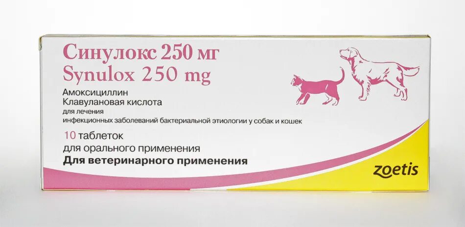 Что дать собаке от кашля. Препарат ветеринарный синулокс 250 мг. Синулокс (250 мг 10 ТБ). Синулокс для кошек 250мг. Синулокс для собак 250.