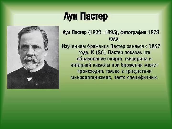 3 л пастера. Луи Пастер (1822-1895). Луи Пастер 1857. Луи Пастер микробиолог. Учёный биолог Луи Пастер.