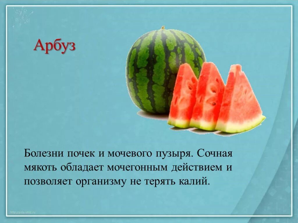 Калий в арбузах. Арбуз мочегонный. Болезни арбуза. Арбуз обладает мочегонным действием. Арбуз прилагательное