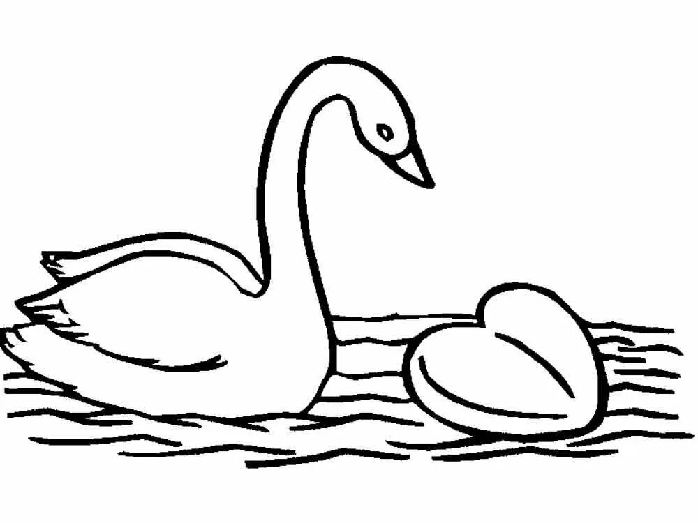 Распечатать картинку лебедь. Лебедь раскраска. Лебедь раскраска для детей. Рисунок лебедя для раскрашивания. Раскраска лебедь для малышей.