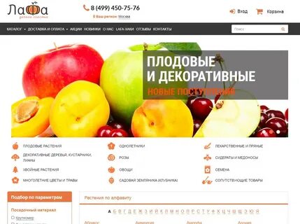 Интернет магазин посадка
