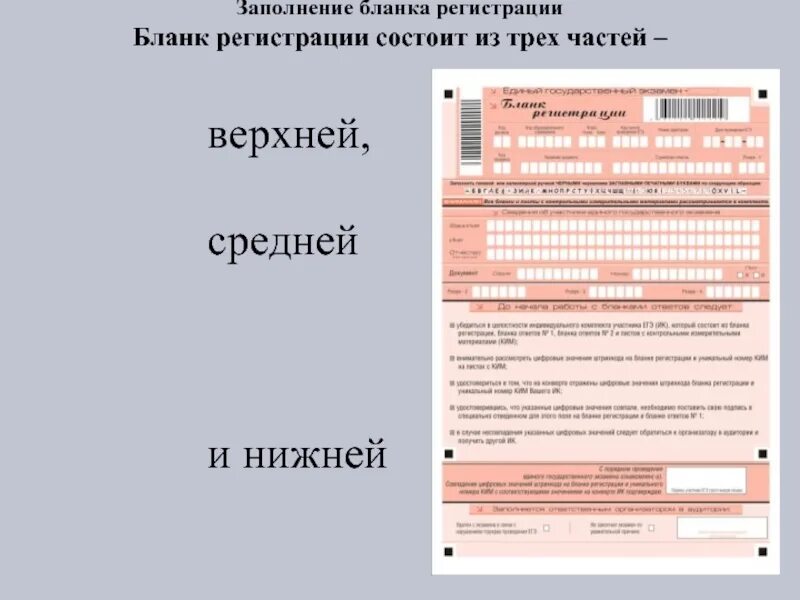 Профессия заполнять формы. Бланка для регистрации. Бланки состоит из. Регистрационный бланк ЕГЭ 2022. Бланк 1.