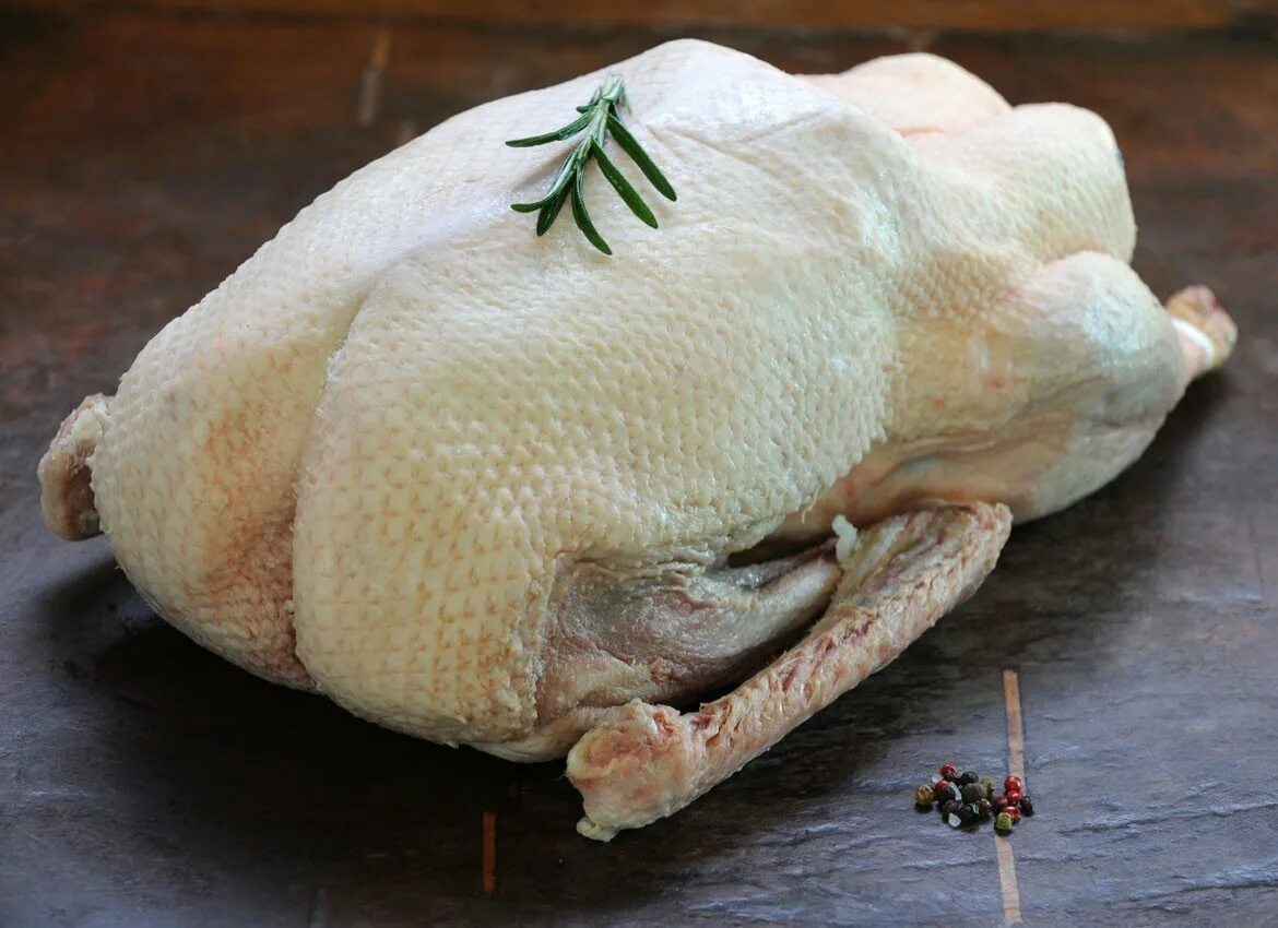 Ощипанный гусь. Тушка гуся. Ощипанная курица. Ощипанный гусь. Ощипанный гусь.