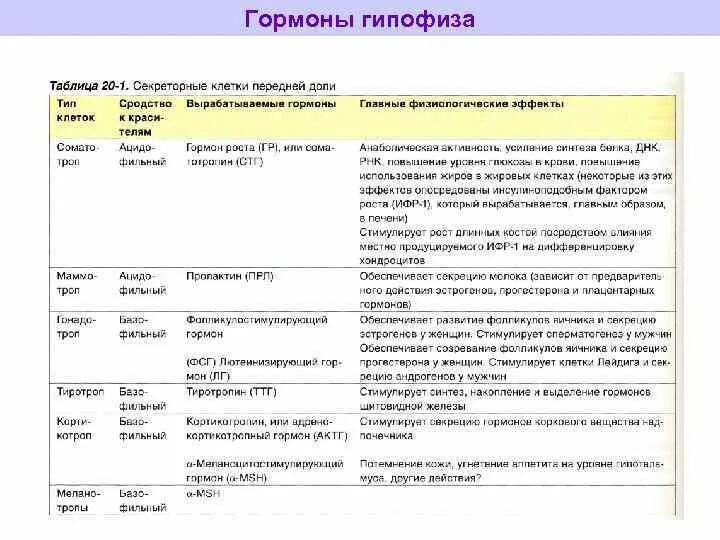 Гипофиз гормоны и функции таблица. Гормоны передней доли гипофиза функции таблица. Гормоны передней доли гипофиза и их функции таблица.